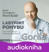 Labyrint pohybu