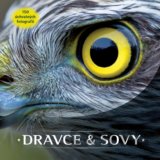 Dravce a sovy