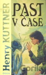 Past v čase