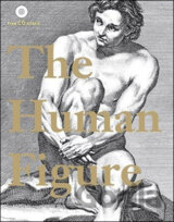 The Human Figure