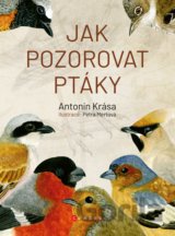 Jak pozorovat ptáky