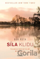 Síla klidu