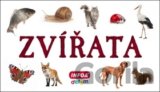 Zvířata