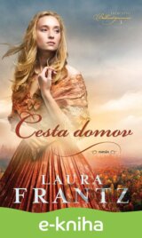 Cesta domov