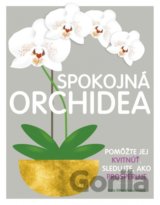 Spokojná orchidea