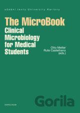 The MicroBook