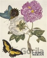 Maria Sibylla Merian