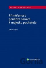 Přiměřenost peněžité sankce k majetku pachatele