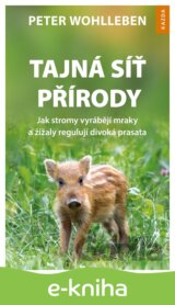 Tajná síť přírody