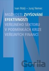 Možnosti zvyšování efektivnosti veřejného sektoru v podmínkách krize veřejných financí.