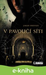 V pavoučí síti