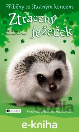 Příběhy se šťastným koncem: Ztracený ježeček