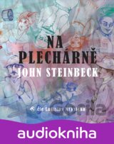 Na Plechárně