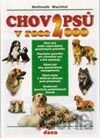 Chov psů v roce 2000