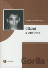 Cikáni a etnicita