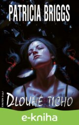 Dlouhé ticho