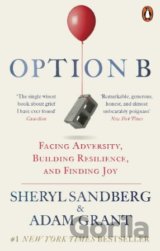 Option B