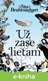 Už zase lietam