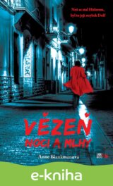 Vězeň noci a mlhy