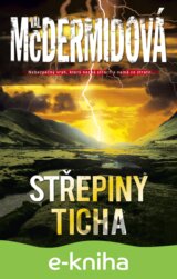 Střepiny ticha