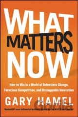 What Matters Now