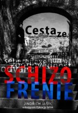 Cesta ze schizofrenie