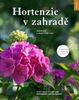 Hortenzie v zahradě