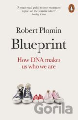 Blueprint
