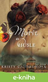 Motýľ a husle