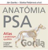 Anatómia psa