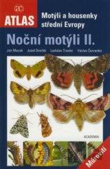 Noční motýli II