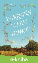 Najkratšia cesta domov