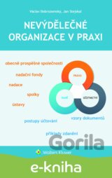 Nevýdělečné organizace v praxi