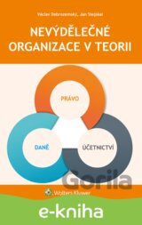 Nevýdělečné organizace v teorii