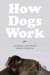 How Dogs Work