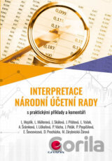 Interpretace Národní účetní rady