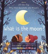What is the Moon?