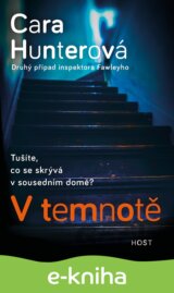 V temnotě