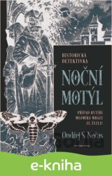 Noční motýl