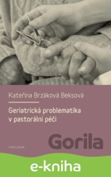 Geriatrická problematika v pastorální péči