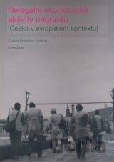 Nelegální ekonomické aktivity migrantů
