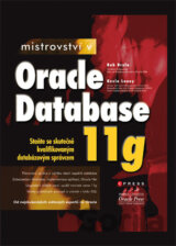 Mistrovství v Oracle Database 11g