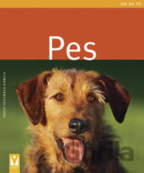 Pes