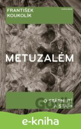 Metuzalém