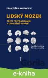 Lidský mozek