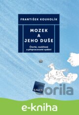 Mozek a jeho duše