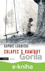 Chlapec s kamínky