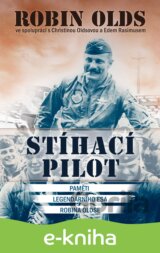 Stíhací pilot