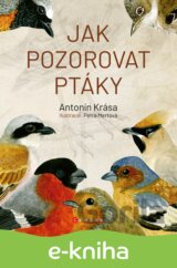 Jak pozorovat ptáky