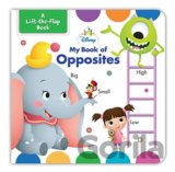 My Book of Opposites